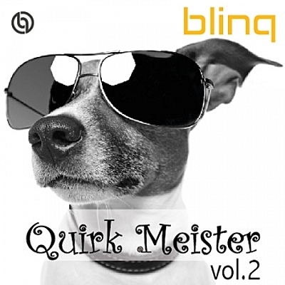 Quirk Meister Vol. 2