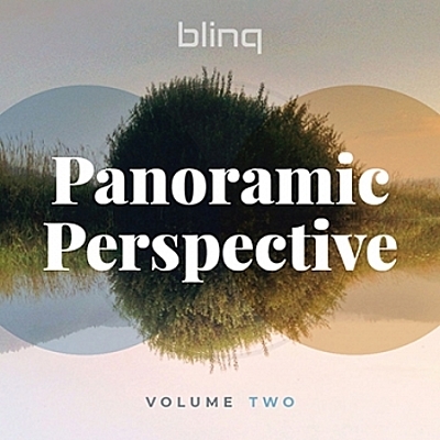 Panoramic Perspective Vol.2