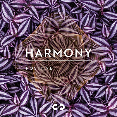 Positive: Harmony