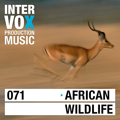 African Wildlife