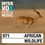 African Wildlife